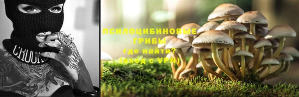 каннабис Арсеньев