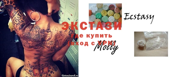шишки Аркадак