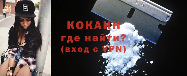 прущие грибы Сатка