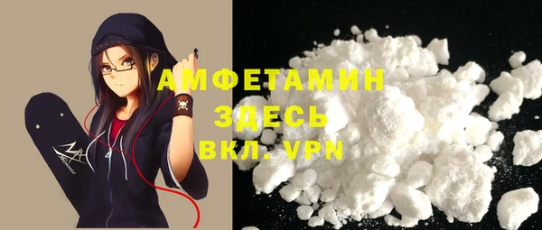 шишки Аркадак