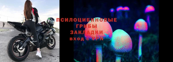 шишки Аркадак