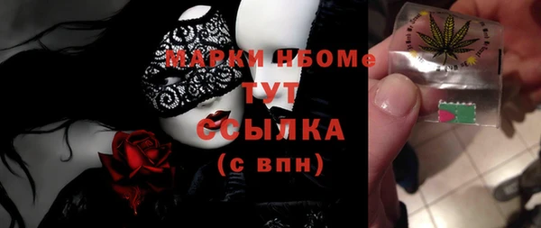 шишки Аркадак
