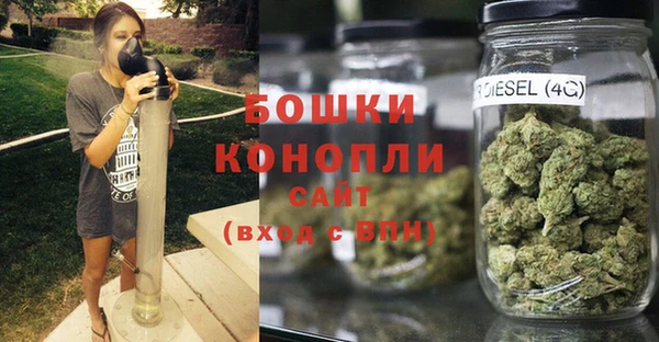 шишки Аркадак