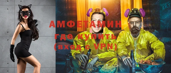 шишки Аркадак