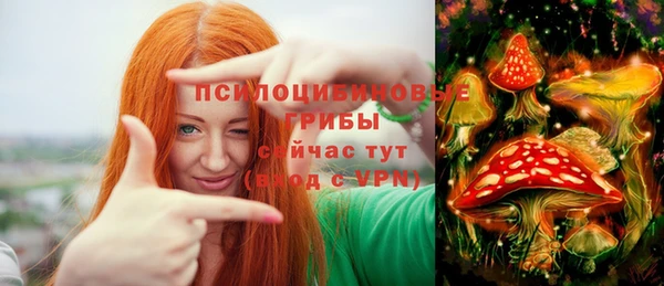 прущий лед Армянск
