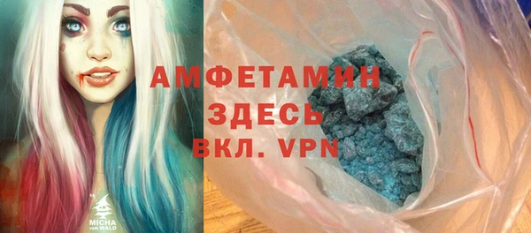 шишки Аркадак